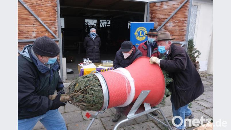 Bei ungemütlichem Wetter hatten die Lions-Mitglieder beim Verpacken der Blaufichten und Nordmanntannen alle Hände voll zu tun. Bild: usc