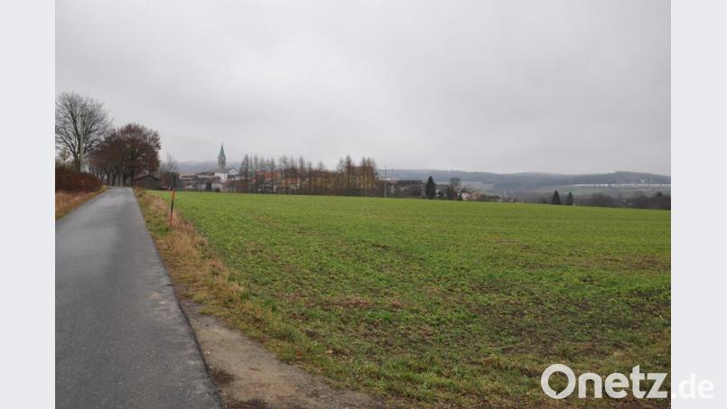 Ein hochwertiger "Beifang" für die Stadt: Die Ziegler-Group will nahe der Stadt in einem Baugebiet 40 Wohnhäuser errichten und damit eine "grüne ökologische Siedlung" bauen. Bild: ws
