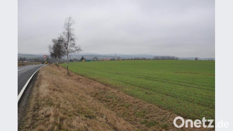 Noch ein Feld, aber bald schon ein weiterer Standort für ein Werk der Ziegler-Group. Im Norden von Bärnau, direkt an der Umgehung Richtung Hermannsreuth, will das Unternehmen für 60 Millionen Euro auf zwölf Hektar einen Betrieb zur Herstellung von Holzfaser-Dämmplatten errichten. Dort könnten rund 75 Personen eine Beschäftigung finden. Bild: ws
