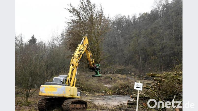 Mit der Rodung der Gehölze auf der ehemaligen Hausmülldeponie ist die Firma Forstservice Helm/Feuchtmeyer aus Hirschau betraut. Bild: Petra Hartl