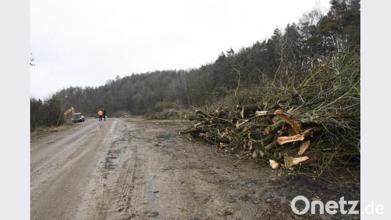 Die frühere Hausmülldeponie wird saniert. Bild: Petra Hartl