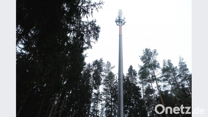 Ein hoher Baumbestand, wie zum Beispiel rund um den Funkmast auf dem Netzaberg bei Eschenbach, soll teilweise den Blick auf den künftigen Sendemasten im Gemeindewäldchen bei Haselhof verdecken. Bild: do