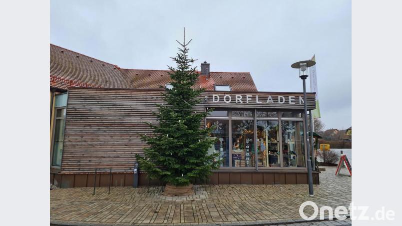 Bürgermeister Torsten Hallmann ist zufrieden über den Christbaum vor dem Dorfladen. Nächstes Jahr könnte sein Nachfolger vor dem Bürger- und Kulturhaus stehen. Bild: sne