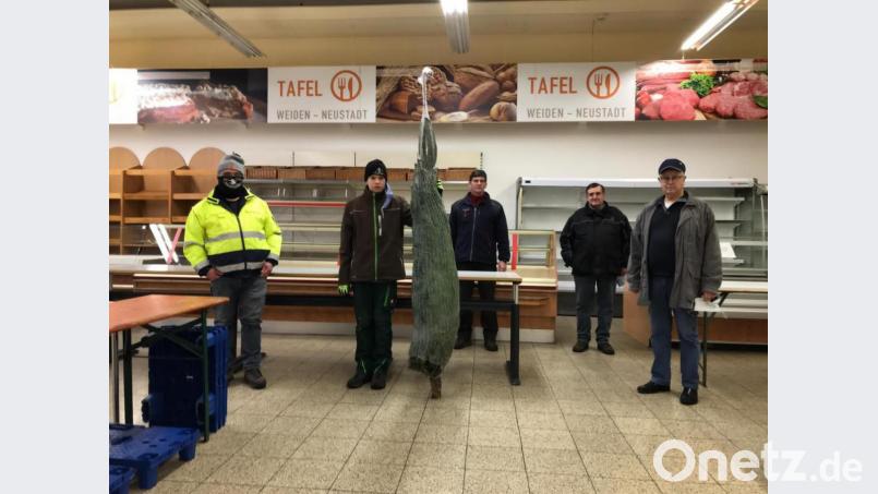 Vertreter des Skiclubs „Hüttenjäger“ bei der Übergabe der 30 Christbäume an die Weidener Tafel. Bild: bk