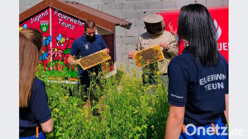 Auch mit Umweltschutzprojekten für ihren Nachwuchs hat die Feuerwehr Teunz beim Ostbayerischen Feuerwehrpreis punkten können. Beispielsweise hatten sie ein Bienenhaus aufgestellt und eine Blumenwiese angesät. Bild: tkr