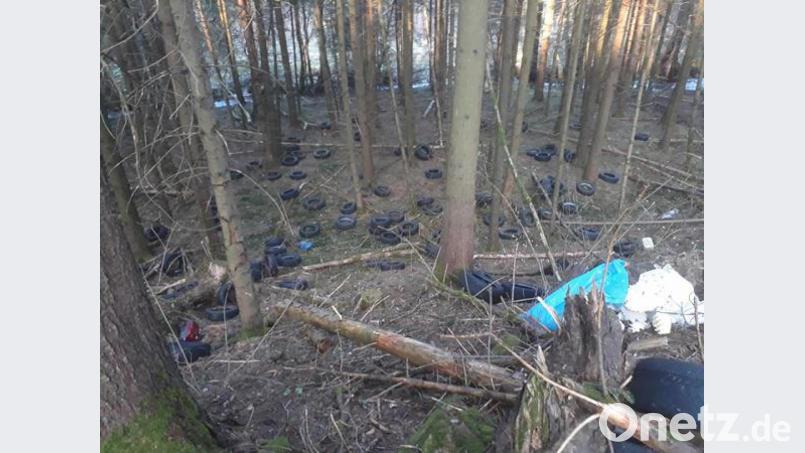 Über 100 Reifen hat Oliver unterhalb des Parkplatzes bei Selingau entdeckt, daneben auch mehrere Staubsauger und andere Elektrogeräte Bild: Oliver Ulbrich