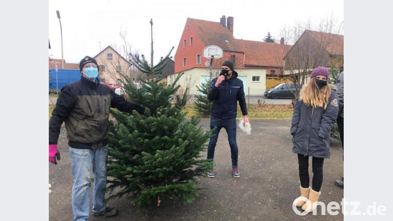 Die Luher Siedler haben zum ersten mal überhaupt einen Christbaumverkauf organisiert. Der Erlös fließt in die Spielplatzausstattung. Bild: mld