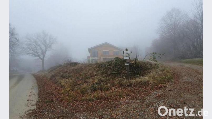 An dieser Böschung in der Kleinschwandner Straße in Tännesberg sind zumindest teilweise unrechtmäßig rund 50 Meter Heckengebüsch und ein Baum entfernt worden. Bild: BN Ortsgruppe Tännesberg/exb