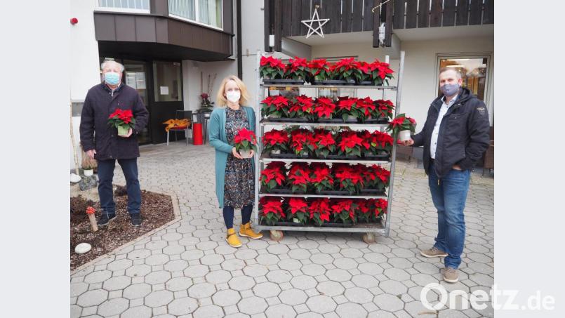 Leuchtende Weihnachtssterne gab es für die Altenheimbewohner und das Pflegepersonal. Stellvertretender Fraktionsvorsitzender Hermann Schmid, Heimleiterin Stefanie Schicker und stellvertretender Ortvorsitzender Michael Bayerschmidt (von links) bei der Übergabe vor dem Haus. Bild: stn