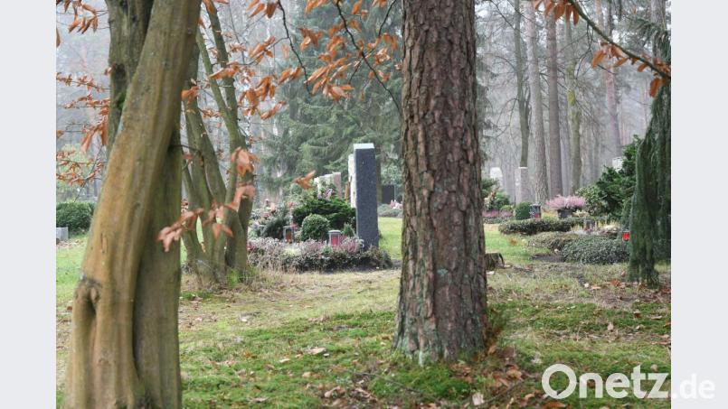 Neben Erdgräbern – wie hier im Bild – und Urnengräbern soll es am Waldfriedhof in Weiden in naher Zukunft auch Flächen für Naturbestattungen geben. Welche Gebühren für die langjährige Nutzung erhoben werden, wird der Stadtrat in seiner Sitzung am Montag entscheiden. Bild: Gabi Schönberger