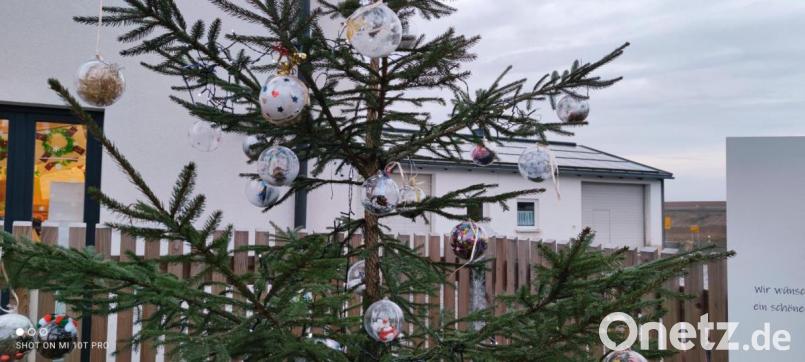 Mit schön verzierten Weihnachtskugeln ist der Christbaum am Kinderhaus in Pullenreuth geschmückt. Bild: twg