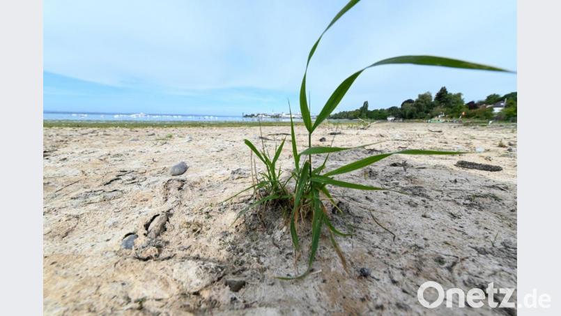 Auch in der Oberpfalz wird der Boden zunehmend trockener. Bild: Felix Kästle