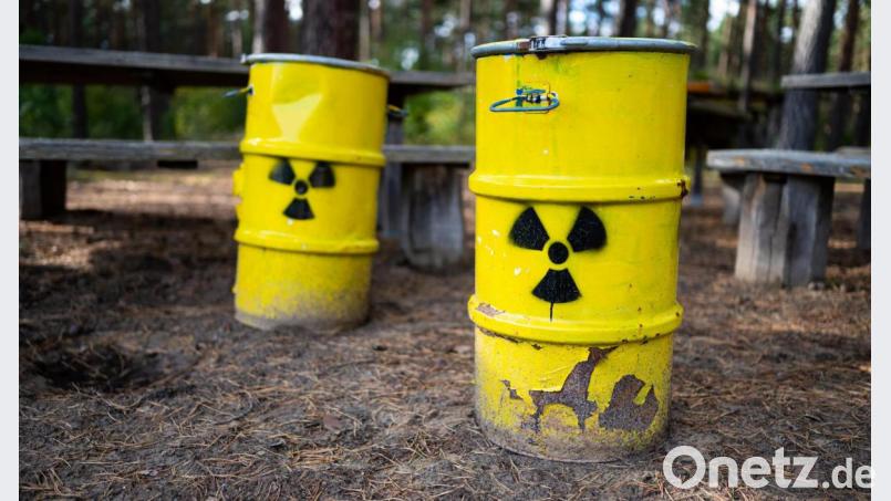 Symbolische Atommüllfässer stehen unweit vom ehemaligen Erkundungsbergwerk Gorleben im Wald. In Deutschland wird nach einem neuen Atommüll-Endlager gesucht. Bild: Philipp Schulze/dpa
