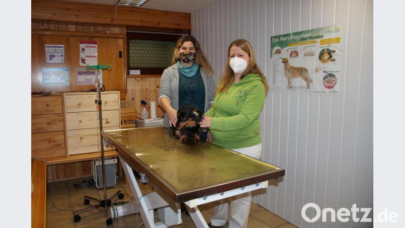 Kerstin Stobrawe und Susanne Karban (von links) eröffnen in Premenreuth eine gemeinsame Tierarztpraxis. Bild: kaz