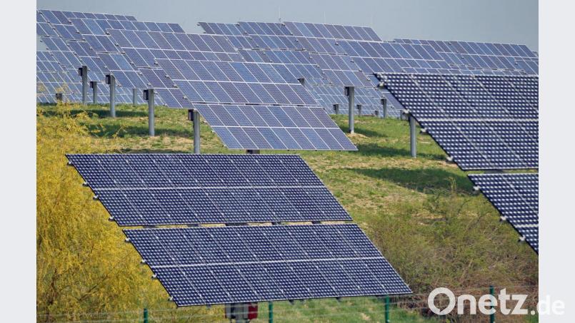 Solarpanele in einem Solarpark (Symbolbild): Zu einer solchen Anlage hat die Gemeinde Kümmersbruck erstmals eine Bürgerbefragung gemacht. Zu dieser Form der Beteiligung gibt es unterschiedliche Meinungen in der Onetz-Redaktion. Bild: Jan Woitas/dpa