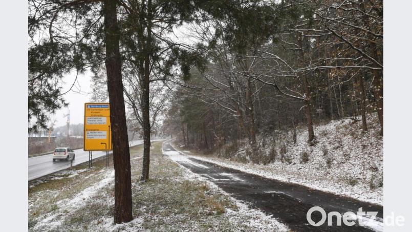 Den Wald im Weidener Westen will das Aktionsbündnis retten. Dazu ruft es die Stadt zur interkommunalen Zusammenarbeit auf. Bild: Gabi Schönberger