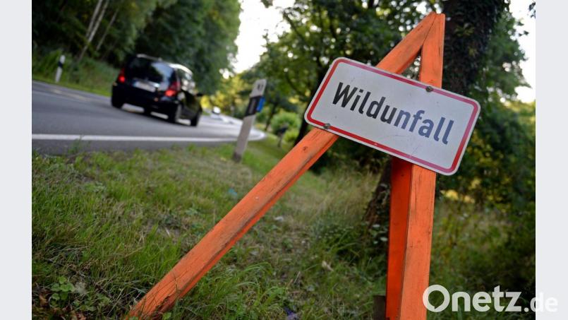 Ein Schild weist am auf einen Wildunfall hin (Symbolbild). Bei Ursensollen ist gerade ein solche Unfall glimpflich, wenn auch nicht ohne Schaden, ausgegangen. Symbolbild: Susann Prautsch/dpa