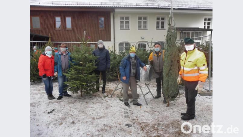 Mit dem Vorsitzenden Günter Winter (rechts) freuen sich die Hahnbacher Sänger über den unerwartet großen Erfolg ihres Christbaumverkaufs. Bild: ibj