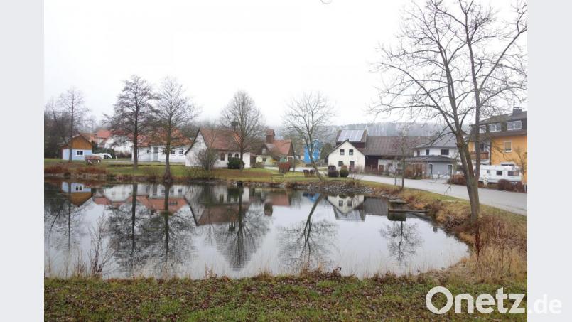Der Dorfweiher in Hagendorf ist nicht nur eine Augenweide. Auch bei der Wasserqualität werden neue Bestwerte erreicht. Bild: fjo