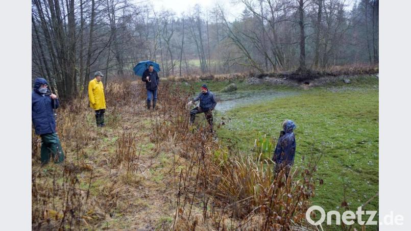 Franz Kühn junior entdeckte jede Menge Spuren vom Fischotter im Vereinsgewässer des VSL. Alle Fische dienten dem Tier als Mahlzeit. Dem Verein nahm es so ungewollt die Arbeit ab. Bild: bkr