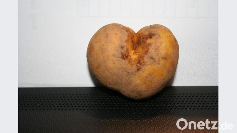 Sein Gewicht hat dem „Herzkartofferl“ das Leben gerettet: Knapp 14 Gramm schwer, wird man es vermutlich noch längere Zeit als „Besichtigungsobjekt“ für die Verwandtschaft in der Küche aufbewahren. Bild: gpa