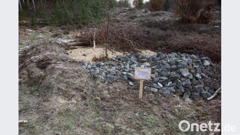 Bei Bahnkilometer 100 dürfen sich die Reptilien auf drei Anlagen freuen. Bild: bkr