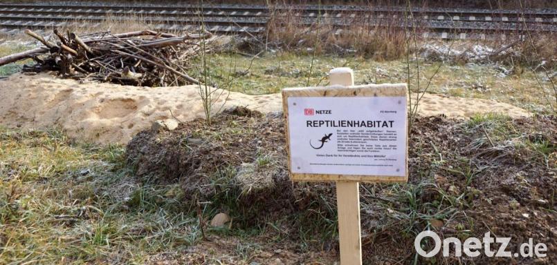 Zwei dieser Reptilienhabitate sind auf der kleinen Freifläche zwischen Hutweg und Bahnanlage zu finden. Bild: bkr