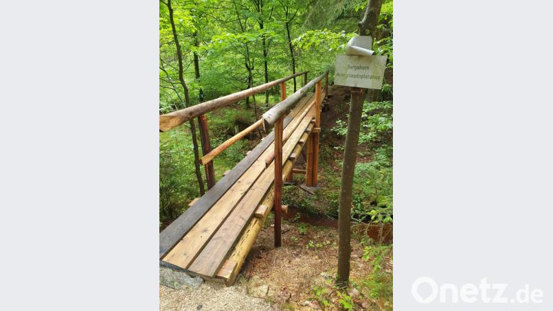 Die Brücke zum Baumlehrpfad wurde von Vereinsmitgliedern erneuert. Bild: Ingrid Leser/exb