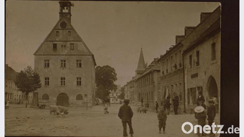 Spaziergänger und Schweine tummeln sich Anfang des 20. Jahrhunderts auf dem Grafenwöhrer Marktplatz.. Repro: Kultur- und Militärmuseum Grafenwöhr/exb