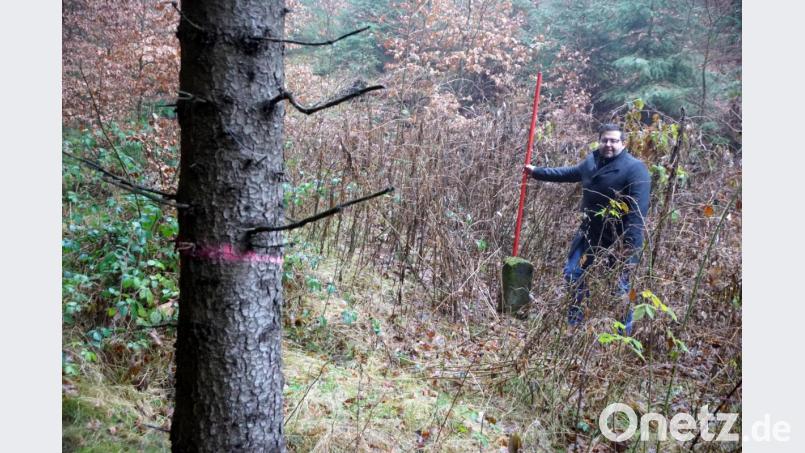 Eingezäunt mitten im Wald ist eine der fünf zu sanierenden Trinkwasserquellen. Bürgermeister Thomas Kaufmann steht am Quellstein. Nur dieser ist sichtbar. Die Quellfassung selbst liegt im Verborgenen und muss zur Sanierung sensibel geöffnet werden. Der rote Ring am Baum bedeutet, dass er gefällt werden muss. Bild: bkr
