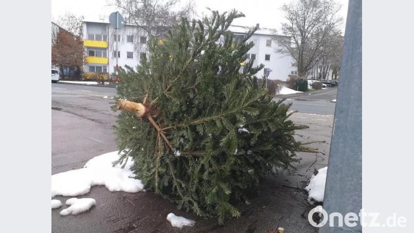 Die Sammelcontainer stehen noch gar nicht, aber der erste illegal entsorgte Baum liegt bereits an der Merianstraße. Die Aufnahme stammt vom Sonntag, 3. Januar. Bild: tk