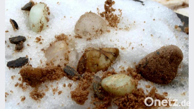 Mehrere Edelsteine als stolzes Ergebnis von Pauls Buddelei. Bild: fsb