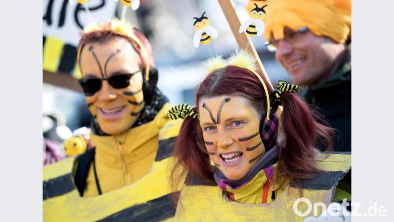 Im Bienenkostüm demonstrieren Umweltschützer Anfang 2019 für das bayerische Volksbegehren zur Artenvielfalt. Seit Sommer vergangenen Jahres sind einige Forderungen gesetzlich festgeschrieben - doch in der Praxis ergeben sich Probleme. Bild: Sven Hoppe/dpa