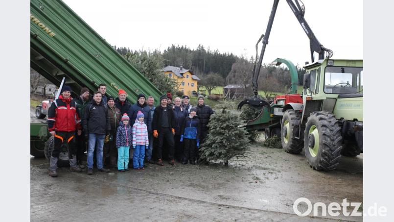 Ein Bild aus Nicht-Corona-Zeiten. Heuer kann die Erbendorfer SPD die Entsorgung der Christbäume wegen der Beschränkungen nicht stemmen. Bild: njn
