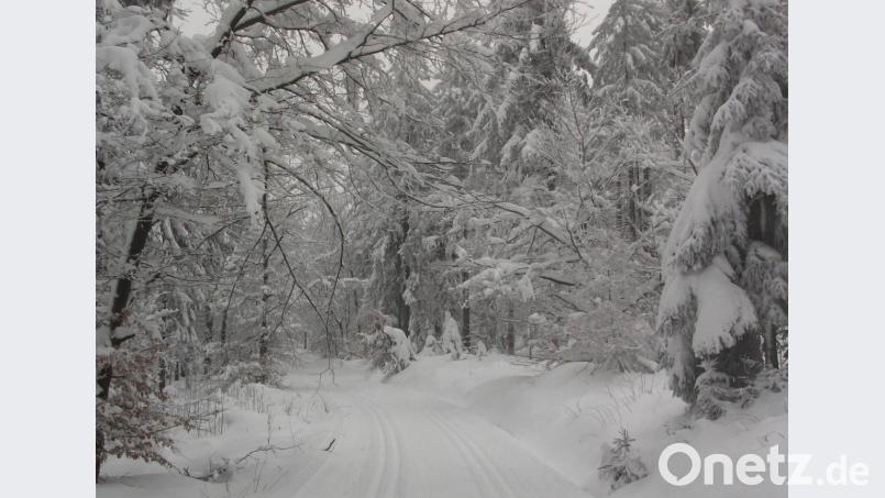 Eine traumhafte Winterlandschaft bietet sich derzeit in den höheren Lagen im Hessenreuther Wald. Bild: mng