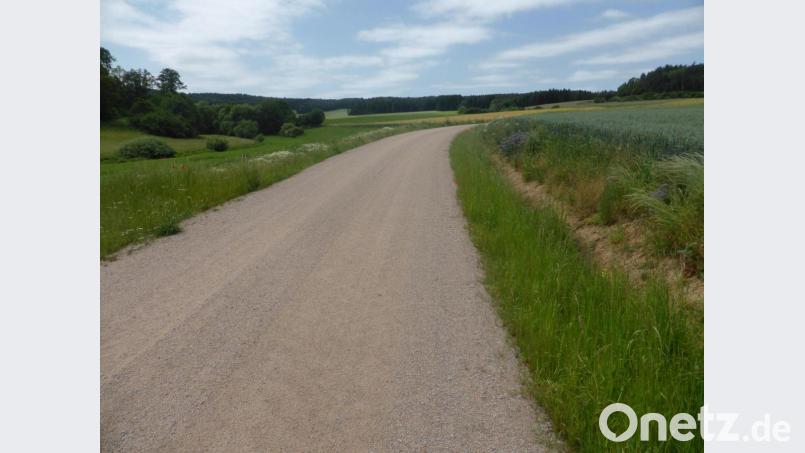 Ein Foto aus dem Verfahrensgebiet Guteneck-Weidenthal zeigt die zukünftige Standardbauweise der Wegtrassen in Fronhof und Siegelsdorf. Die neuen Wege verfügen über eine befahrbare Kronenbreite von 4,5 Meter. Bild: exb