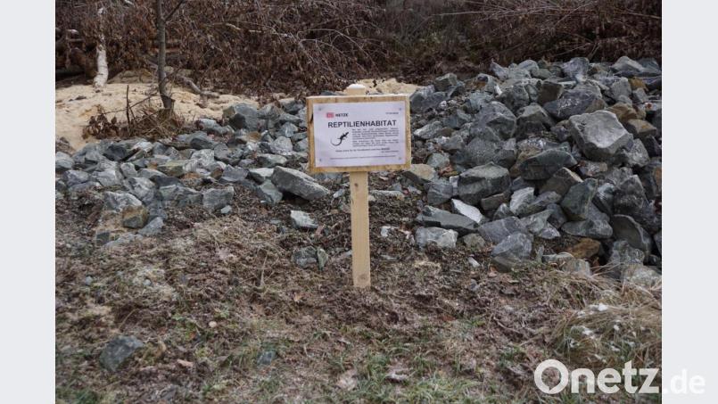 Auch Stein- und Streuhaufen größerer Art wurden entsprechend den Anforderungen angelegt. An anderen Stellen dominieren Sandschüttungen oder die Lebensräume wurden gezielt bepflanzt. Bild: bkr