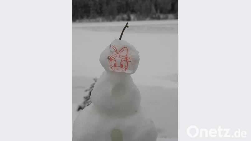 Daisy am Fichtelsee Bild: gis