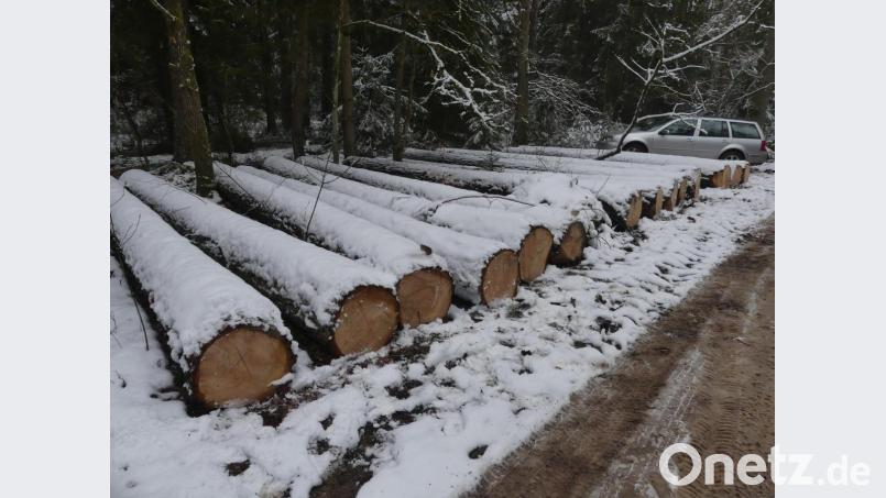 Ausgewählte Blochholz-Stämme, das sind gefällte und entastete Bäume, versprechen einen höheren Verkaufserlös als normale Hölzer. Bild: rn