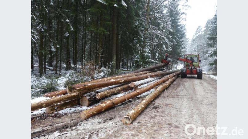 Aufbereitet zu Poltern erleichtert das hier zusammengesammelte Stammholz den Abtransport. Bild: rn