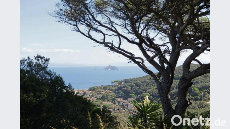 Über Cavo blickt man auf die winzige Isola dei Topi, die Mäuseinsel. Bild: Florian Sanktjohanser/dpa