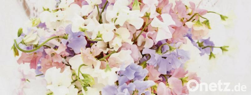 Der Brautstrauß ist eines der wichtigsten Accessoires für die Braut. Zu den Trendfarben gehören derzeit Flieder- und zarte Lilatöne. Bild:  Braut &amp; Bräutigam Magazin/dpa