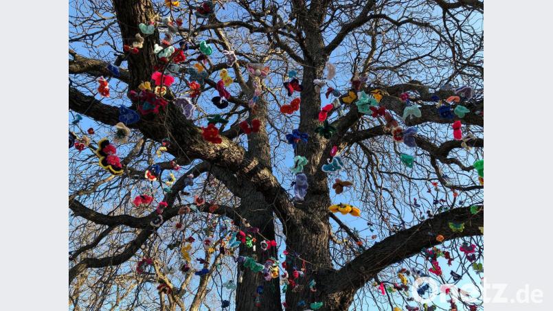 Knapp 3000 Schmetterlinge flattern jetzt mitten in Stuttgart: 32 Kreative aus ganz Deutschland haben sie gehäkelt - als Lichtblick in der Pandemie. Die Oberpfalz ist auch vertreten. Bild: eik