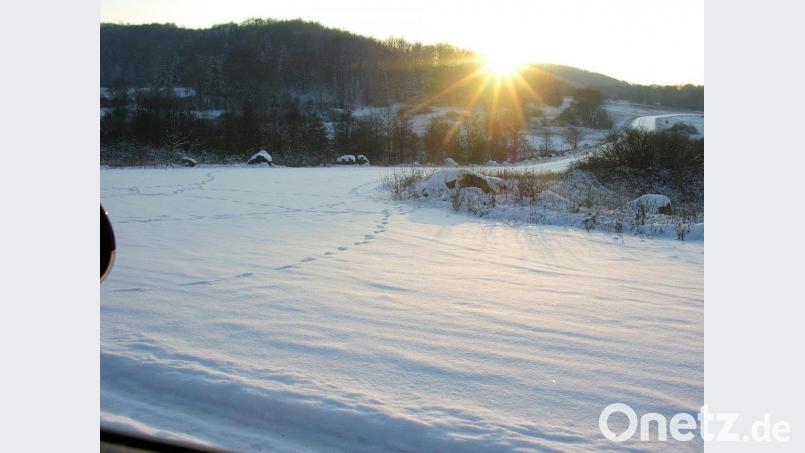 Sonnenuntergang am 594 Meter hoch gelegenen Schauerstein. Nur eine paar Wildspuren sieht man auf der Panzerstraße. Kein Mensch weit und breit und auch kein Coronavirus. Nur die Stille eines ausklingenden Wintertages. Bild: bö