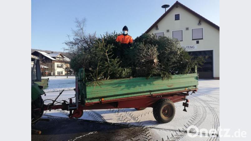 Vereinsmitglieder sammelten die Christbäume ein und brachten sie zum Häckseln. Bild: OGV Wolfring/exb