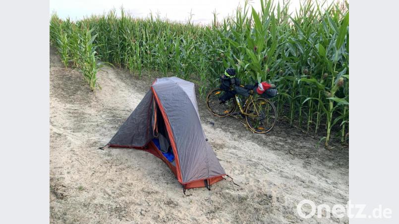 Das Bett im Maisfeld war nachts nicht mehr so idyllisch, als sich Wildschweine breit machten. Bild: Michael Tiefel