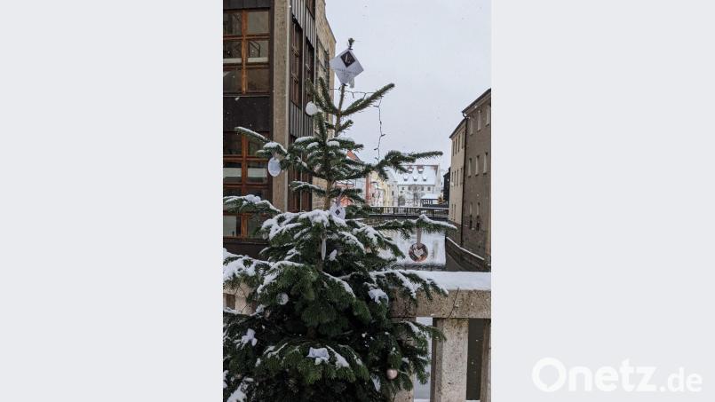 So sieht der Baum von Ladies’ Circle in voller Größe aus. Bild: Verena Fitzgerald