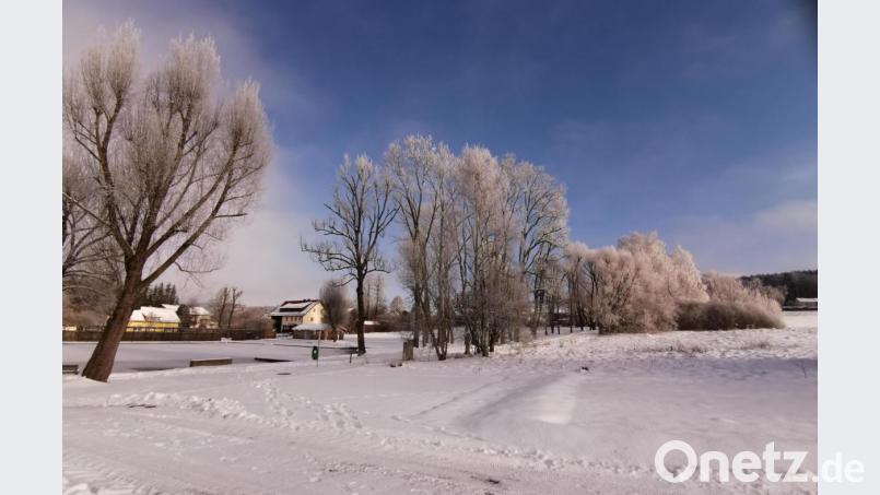 Diese herrliche Winterlandschaft zeigt sich mitten in Schönsee beim Moorbadgelände. Der Rundweg durch den Kurpark ist ideal für einen Spaziergang. Bild: Portner