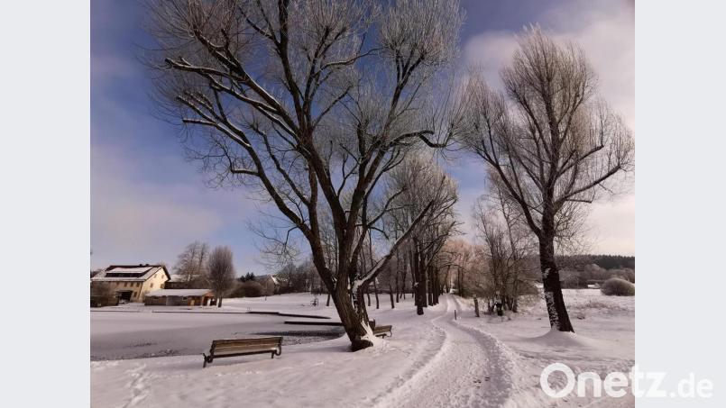 Der Bauhof hat den Magdalenen-Kreuzweg ein Stück weit geräumt. Bild: Portner