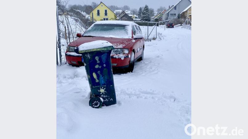 Wenn zum parkenden Auto auch noch die Mülltonnen kommen, die nicht auf der Grundstücksgrenze stehen, sondern auf dem Gehsteig oder der Straße, hat der Winterdienst der Gemeinden ein Problem. Bild: Eichl